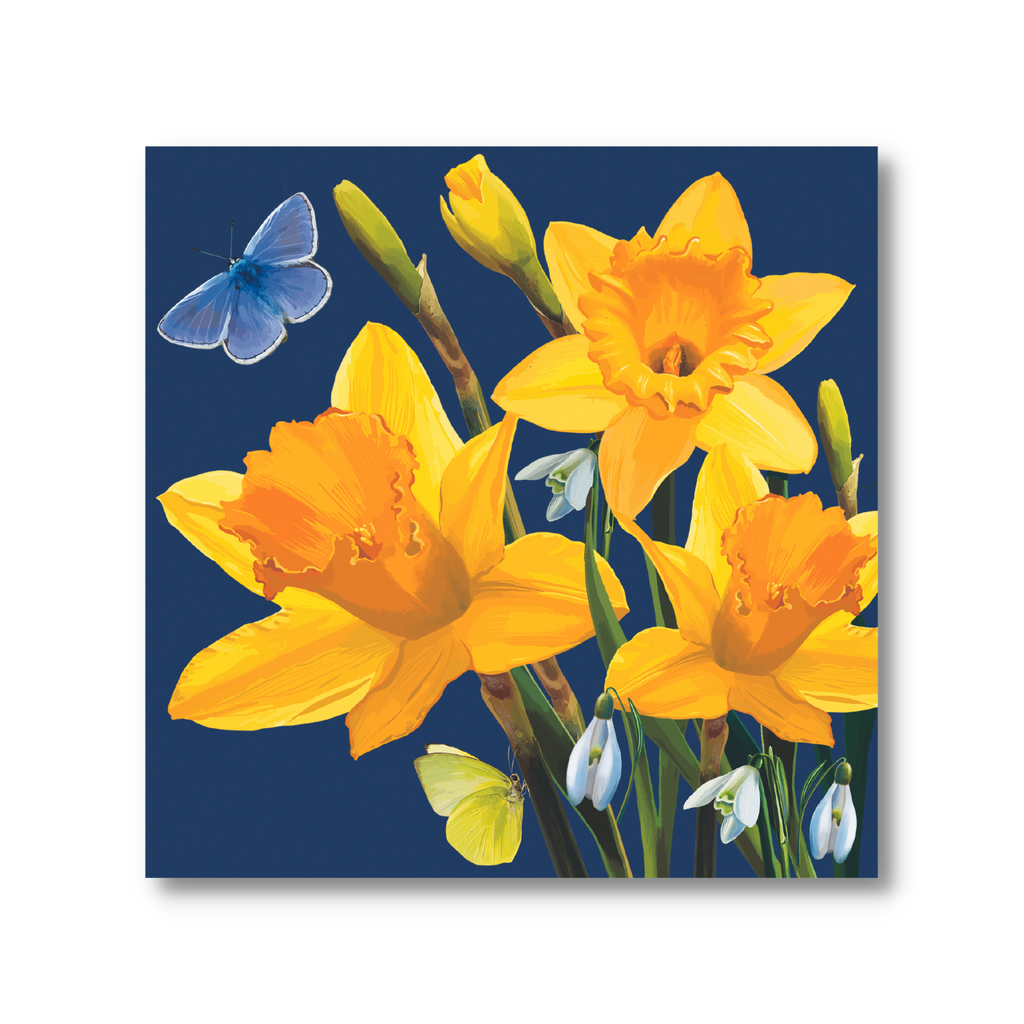 Daffodils & Butterflies