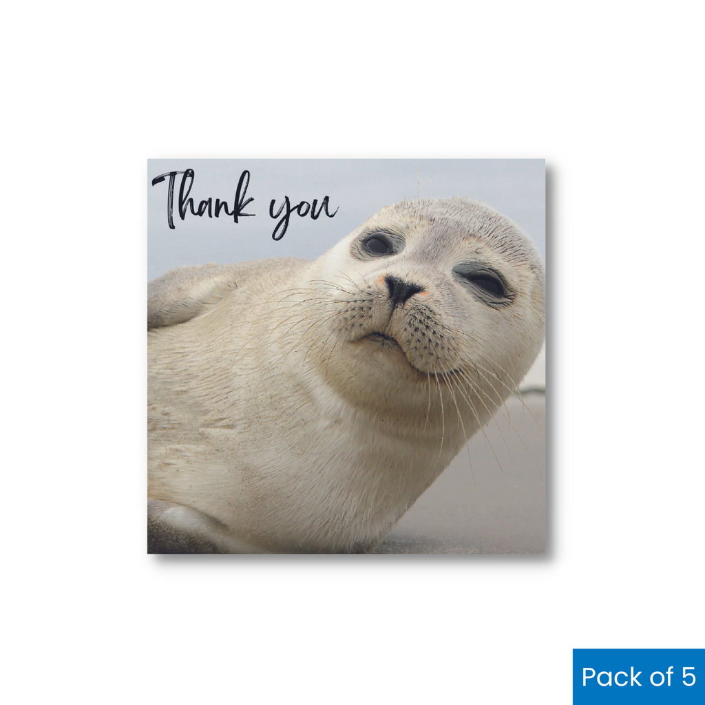 Seal Pup Thank You Mini Pack