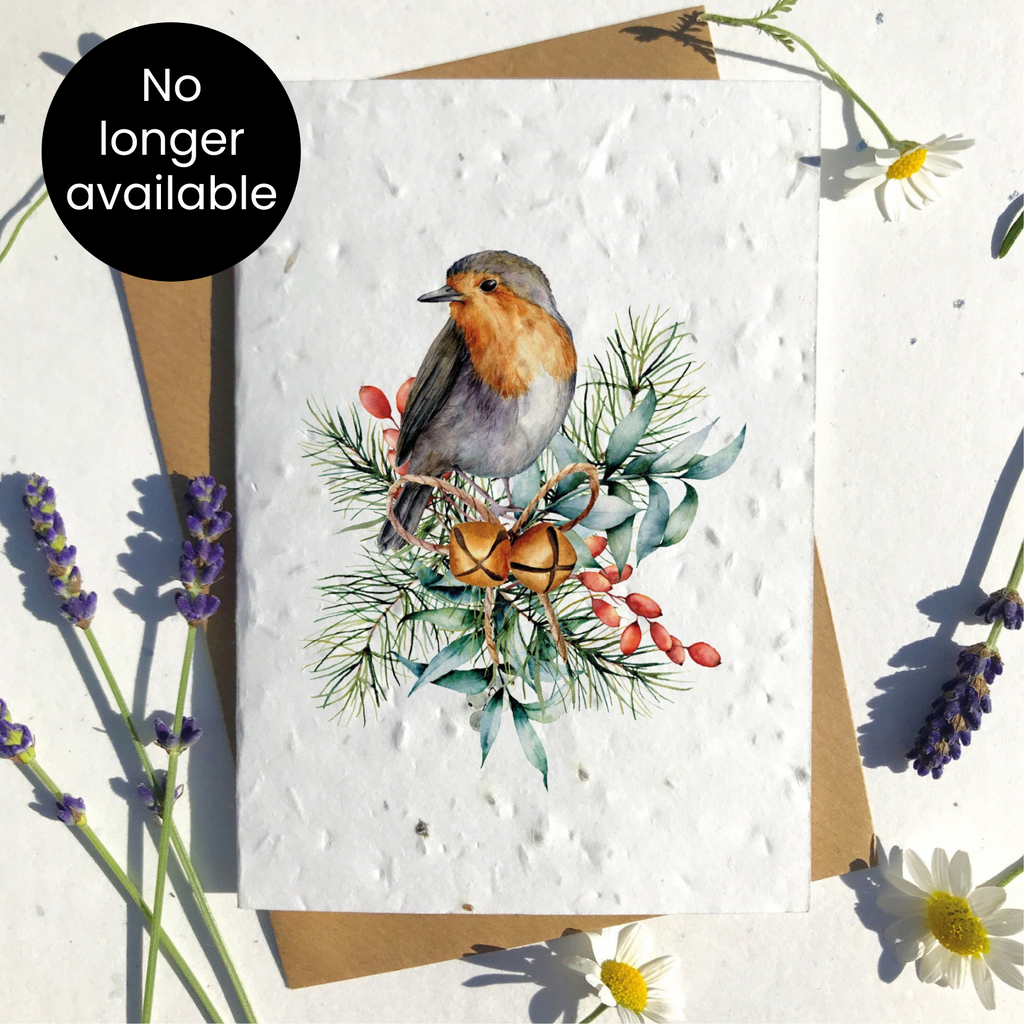 Christmas Robin Seeded Card