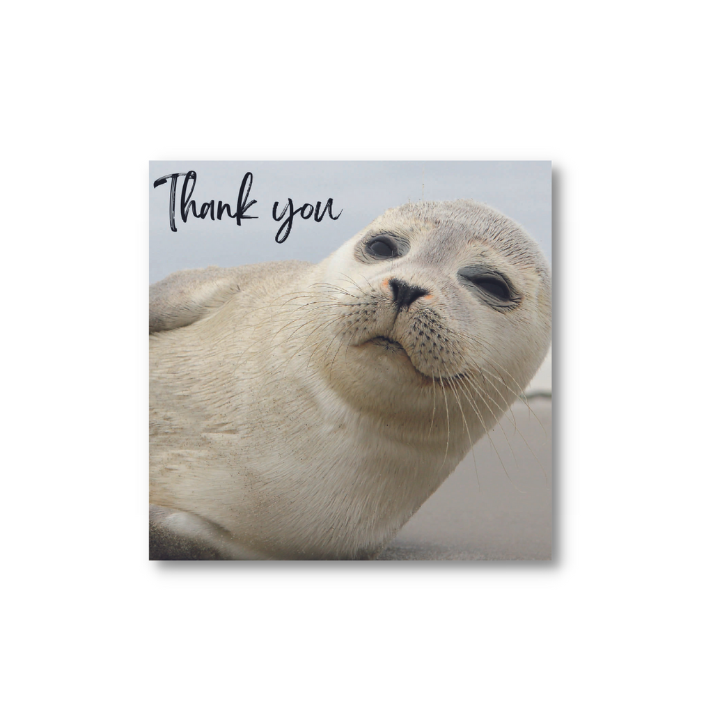 Seal Pup Thank You Mini Pack