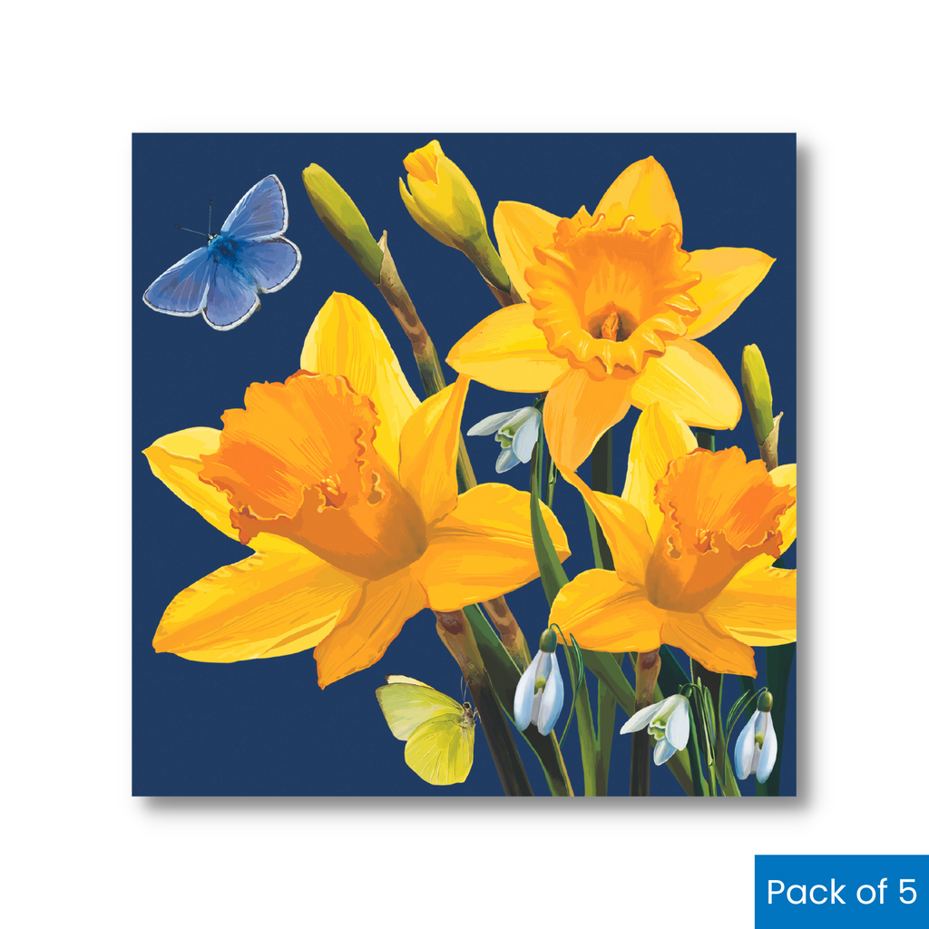 Daffodils & Butterflies
