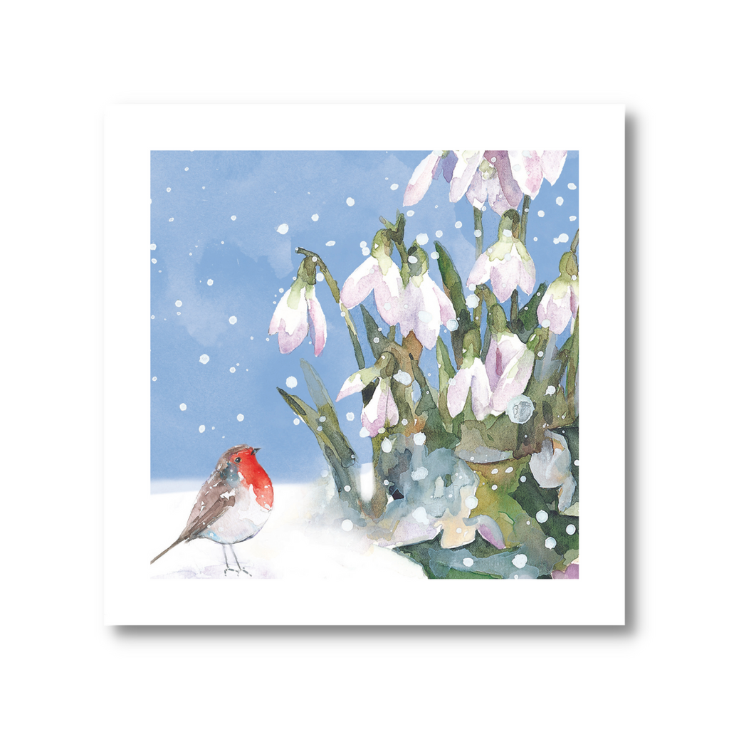 Painted Robin & Robin And Snowdrops Christmas Card Pack