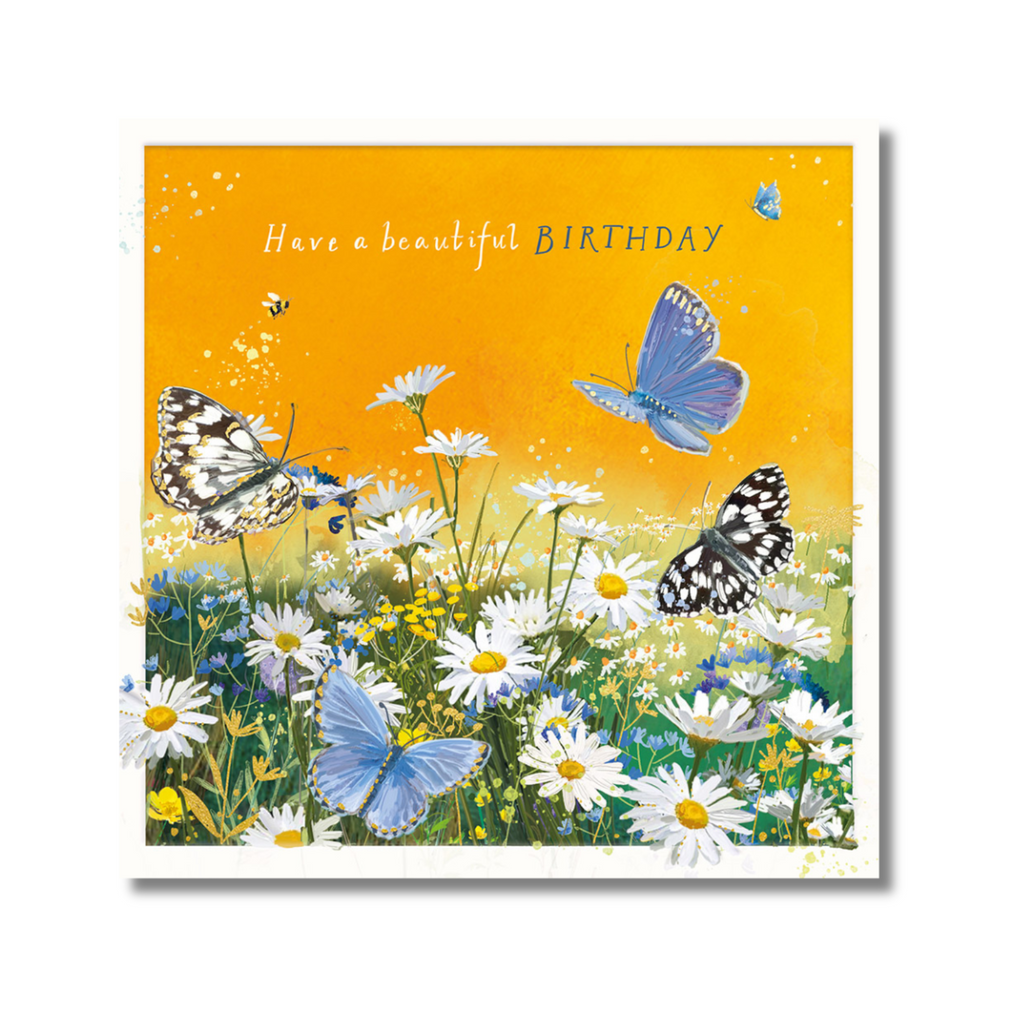 Butterflies & Bee