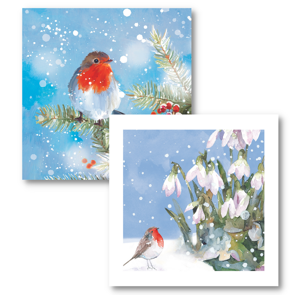 Painted Robin & Robin And Snowdrops Christmas Card Pack