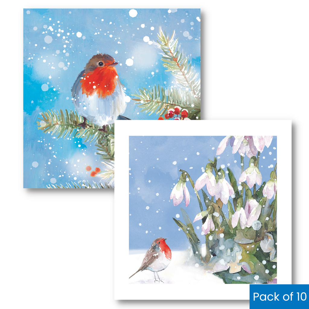 Painted Robin & Robin And Snowdrops Christmas Card Pack