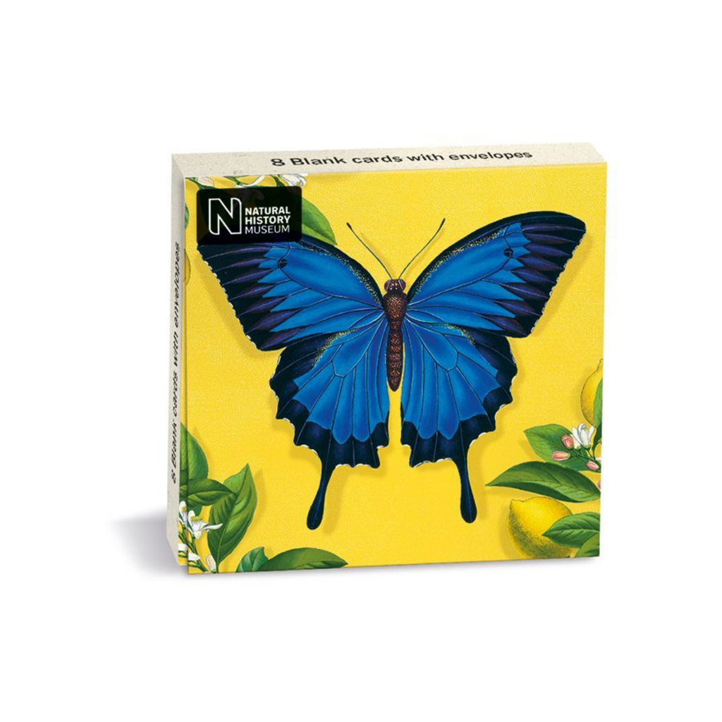 Ulysses Butterfly Mini Note Card Wallet