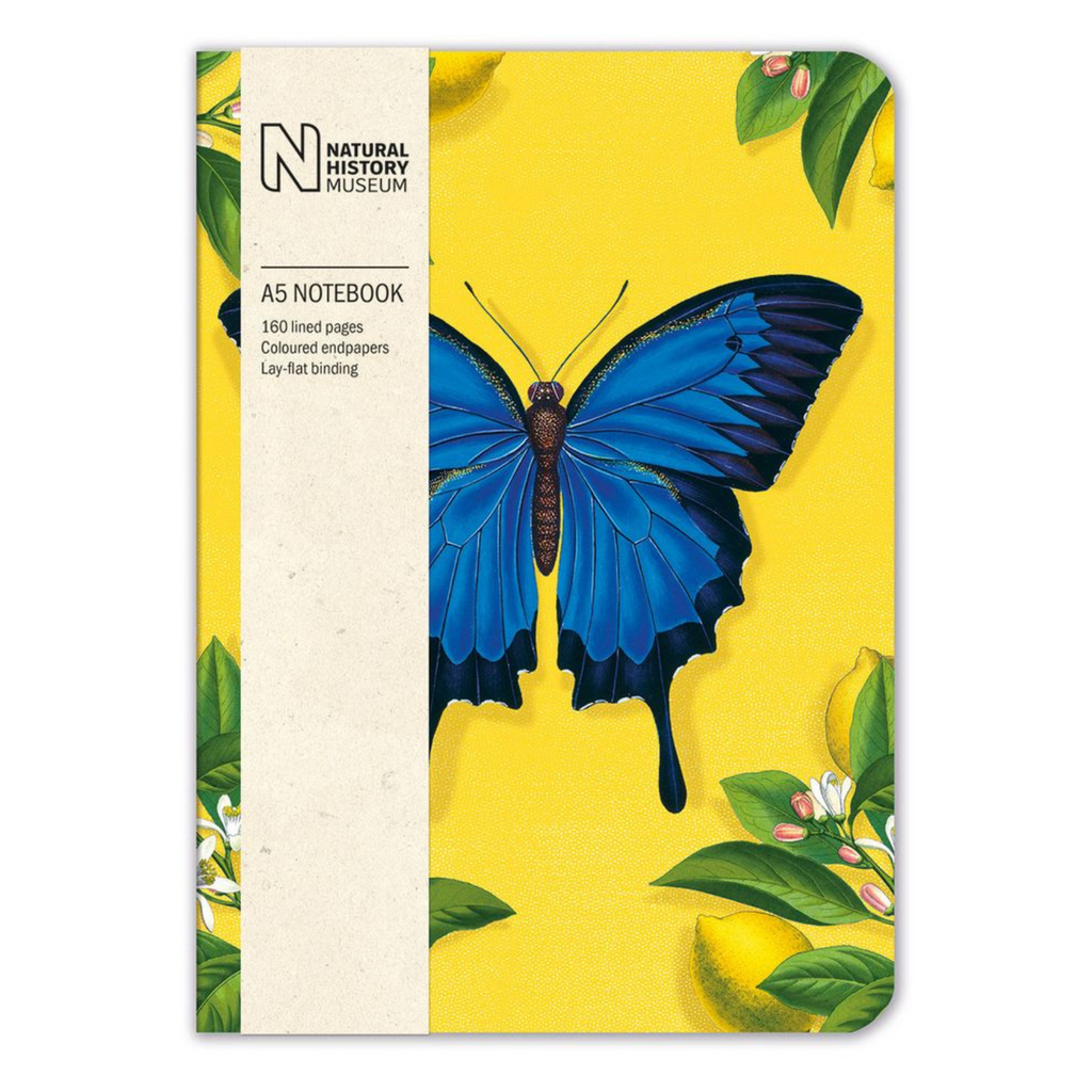 Ulysses Butterfly A5 Notebook